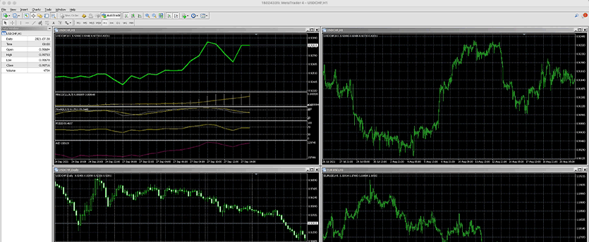 A trader analyzing financial markets using the MetaTrader 4 platform on a computer screen.