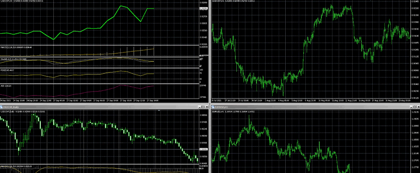 A screenshot showcasing diverse trading screens on the Metatrader 4 platform, facilitating efficient trading.