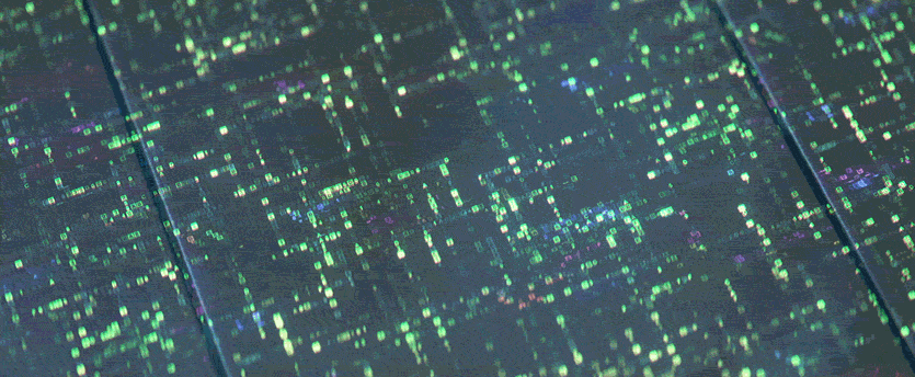 Green and blue lights on computer screen indicating algorithmic trading analysis